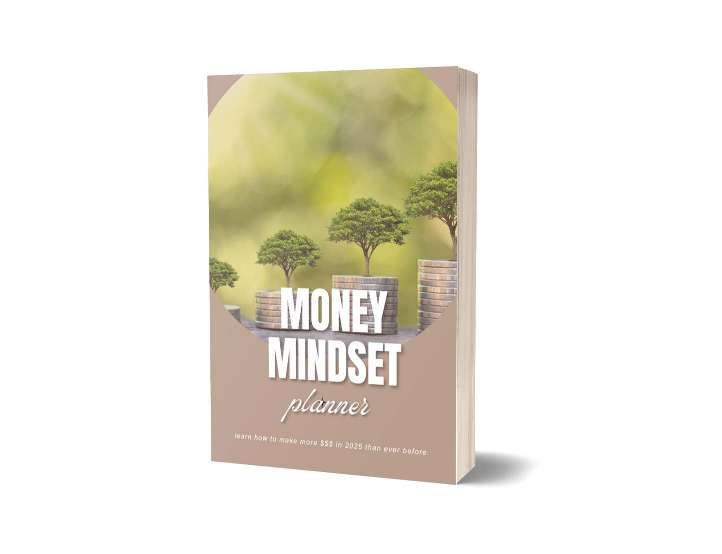Money Mindset planner